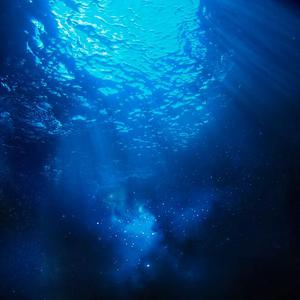 插进大码美女逼里射精
